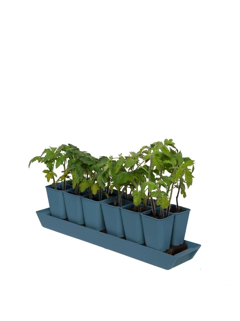 Gardener's Best® XL Seed Starting Kit 6 Gardener's Best® XL Seed Starting Kit - Image 6