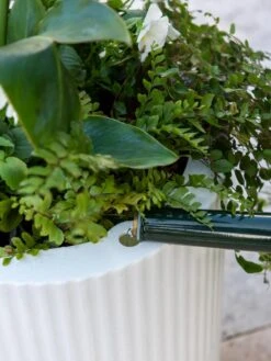 Arden Round Planter -US Organic Seed Sales Store 8613267 0113