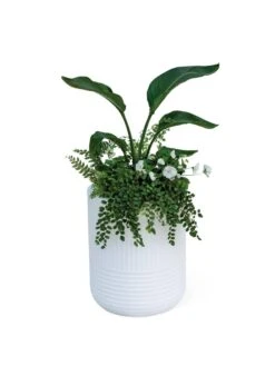 Arden Round Planter -US Organic Seed Sales Store 8613267 0115