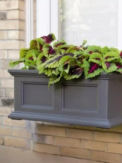 Fairfield Self-Watering Window Box, 2’ 11 Fairfield Self-Watering Window Box, 2’ -US Organic Seed Sales Store 8613268 08V tif