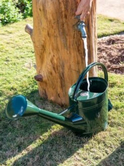 Long Reach Watering Can, Large -US Organic Seed Sales Store 8613346 0147