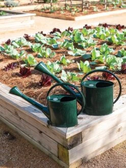 Long Reach Watering Can, Large -US Organic Seed Sales Store 8613346 0148 1