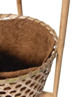 Elevated Bamboo Tomato Planter And Trellis -US Organic Seed Sales Store 8613502 4685