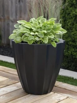 Sedona Round Planter, 18" Diameter 9 Sedona Round Planter, 18" Diameter -US Organic Seed Sales Store 8613526 01V