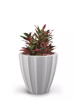 Sedona Round Planter, 18" Diameter 11 Sedona Round Planter, 18" Diameter -US Organic Seed Sales Store 8613526 05V