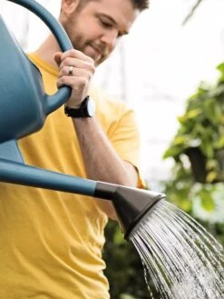 French Blue Watering Can -US Organic Seed Sales Store ChrisAhrensSquare 0118 tif