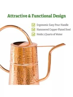 Copper Indoor Watering Can 7 Copper Indoor Watering Can -US Organic Seed Sales Store Copper Watering Can 1