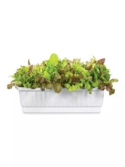 31" Self-Watering Window Box -US Organic Seed Sales Store GS36523 01Z 3 4