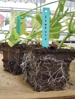 2-3/4" Square Cowpots 6-Packs, Set Of 4 5 2-3/4" Square Cowpots 6-Packs, Set Of 4 -US Organic Seed Sales Store GS37034 05