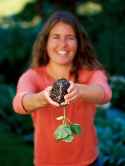 Deep Root Seedstarting System, Black -US Organic Seed Sales Store GSCOVSPR06D2 01