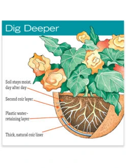 AquaSav™ Replacement Liners, Set Of 3 -US Organic Seed Sales Store hiw 38 583