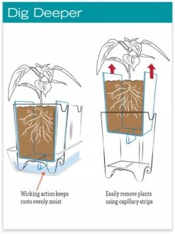 Stoneware Self-Watering Windowsill Planters, Set Of 2 9 Stoneware Self-Watering Windowsill Planters, Set Of 2 -US Organic Seed Sales Store hiw 8593943 jpg